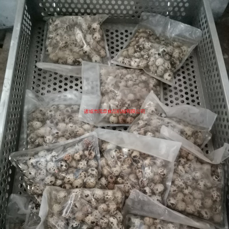 休閑食品鹵鵪鶉蛋袋裝食品殺菌鍋鴨蛋燒雞粽子延長保質期不銹鋼殺菌釜送貨上門
